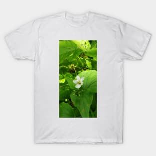 Small white flower on the forest floor T-Shirt